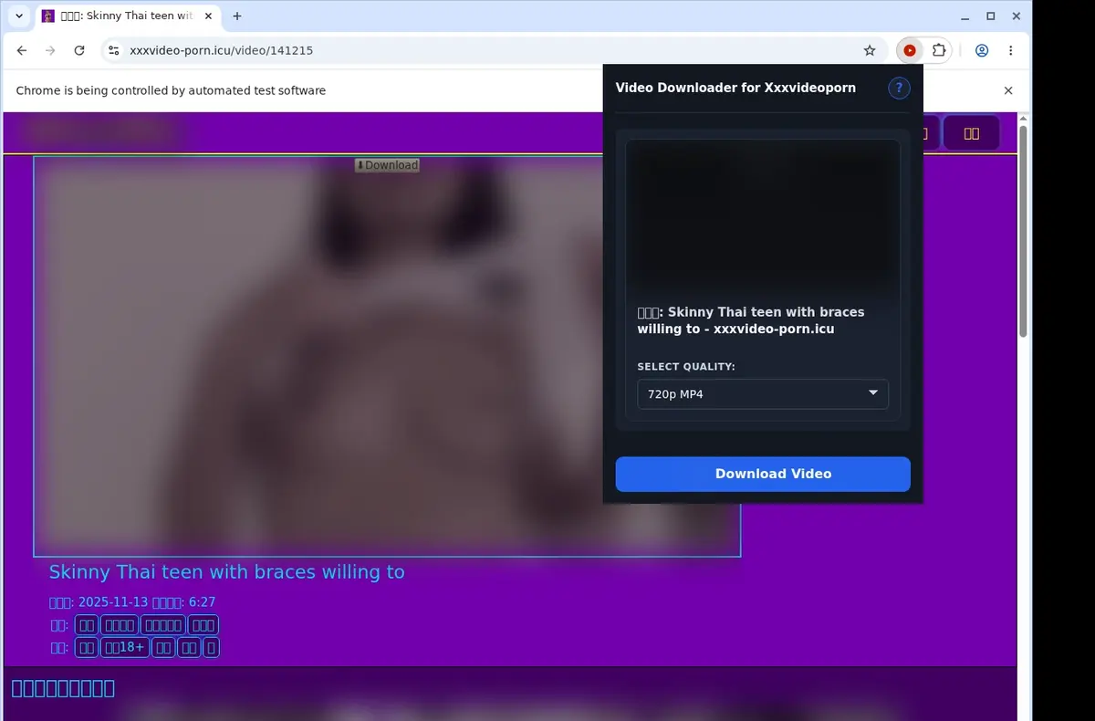 Xxxvideoporn Video Downloader showing detected media ready to download