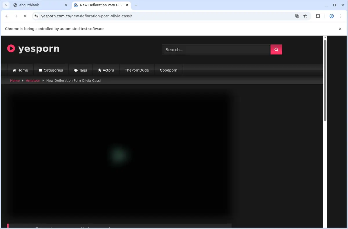 YesPorn Downloader page open in the browser