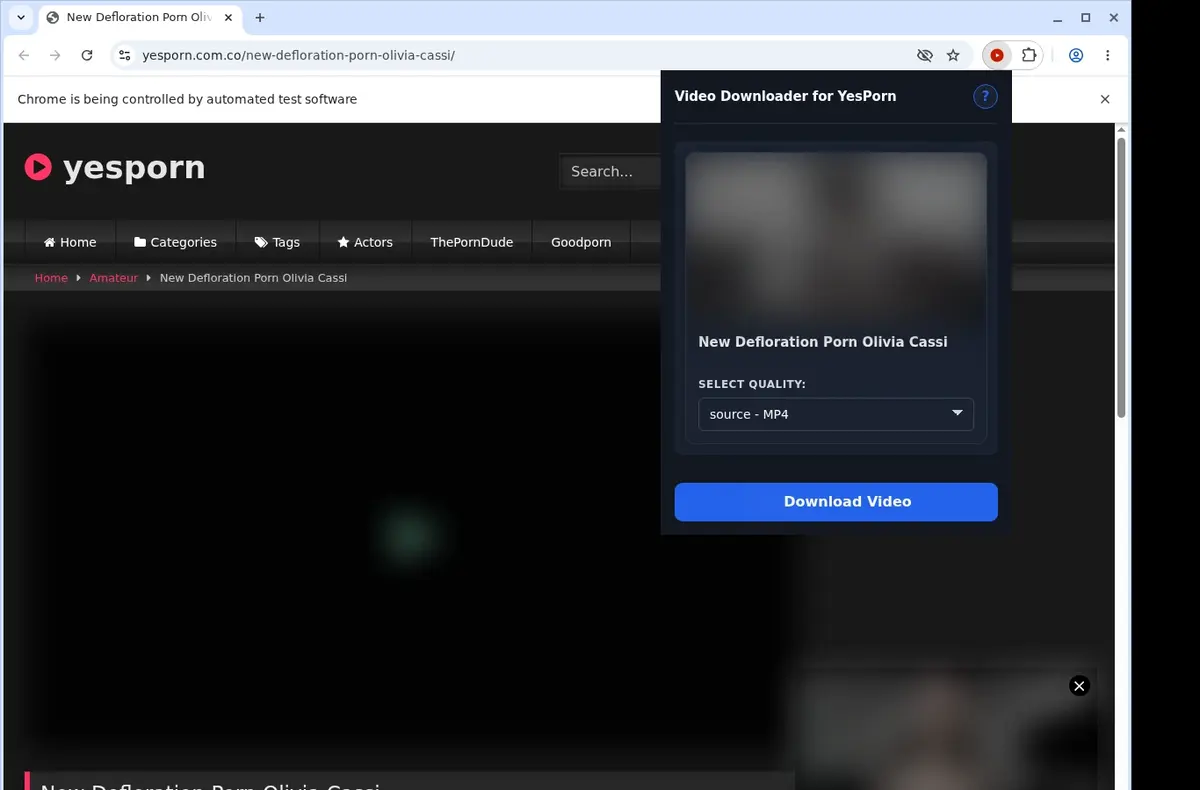 YesPorn Downloader showing detected media ready to download