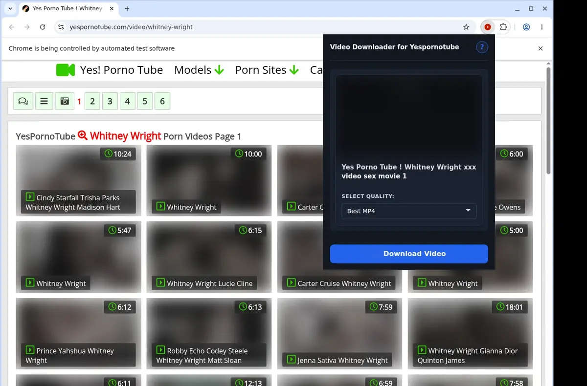 YesPornoTube Video Downloader showing detected media ready to download