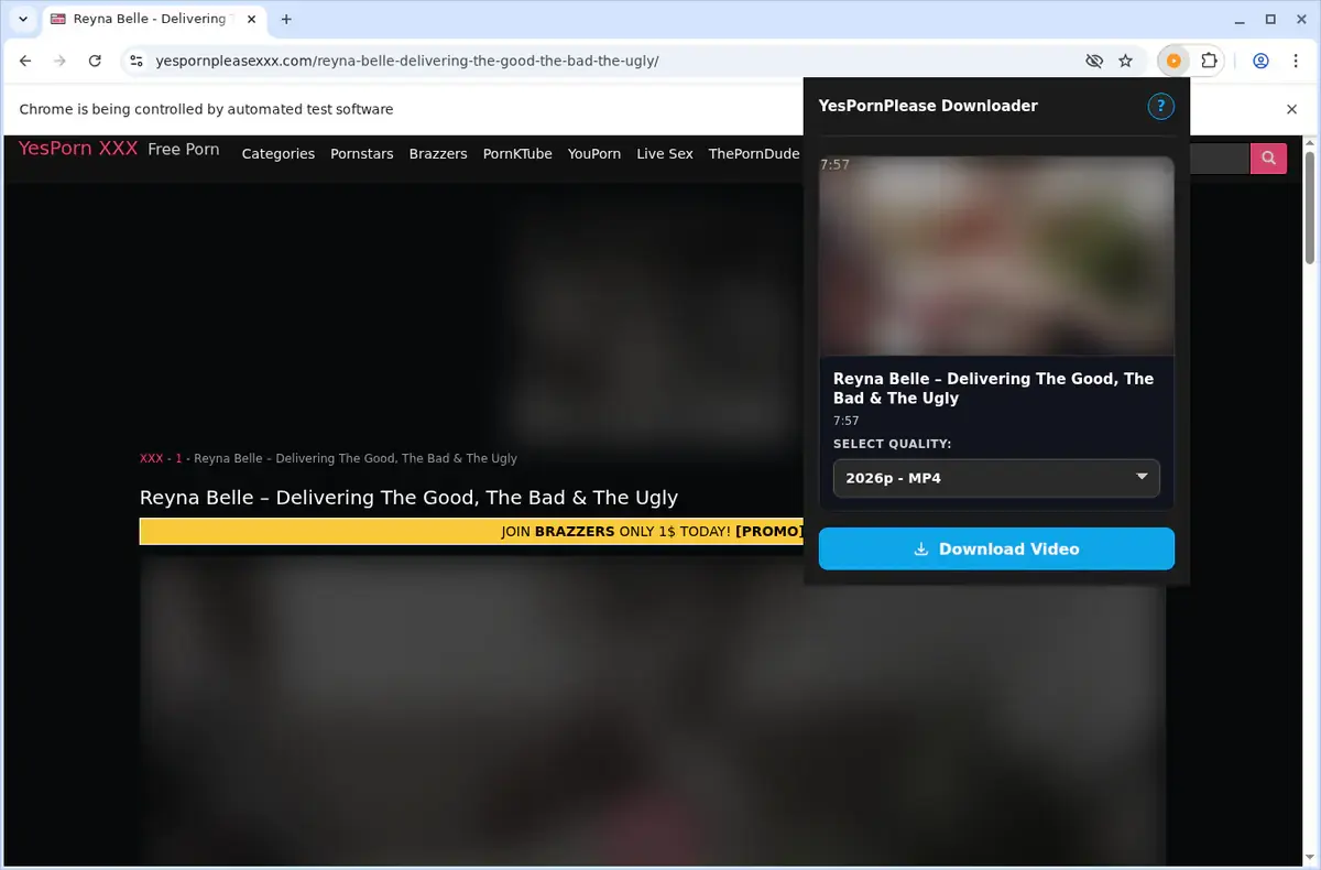 YesPornPlease Video Downloader showing detected media ready to download