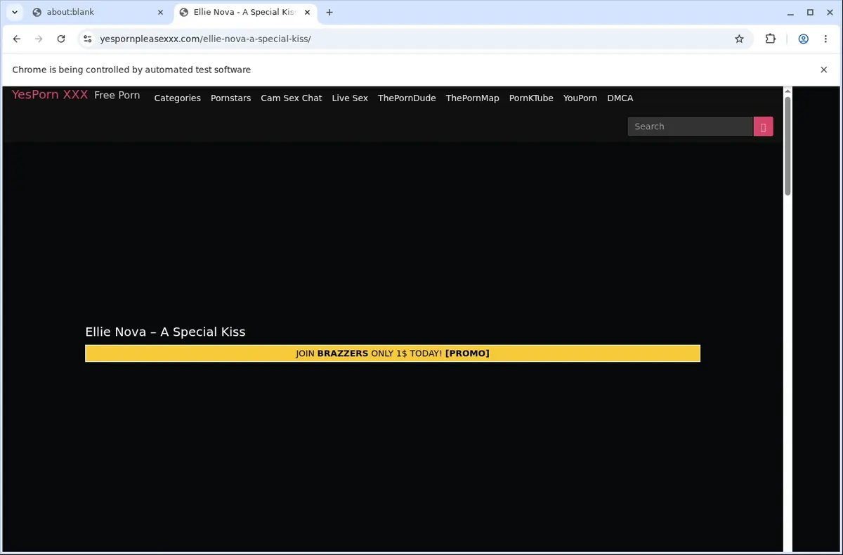 YesPornPleaseXXX Downloader page open in the browser