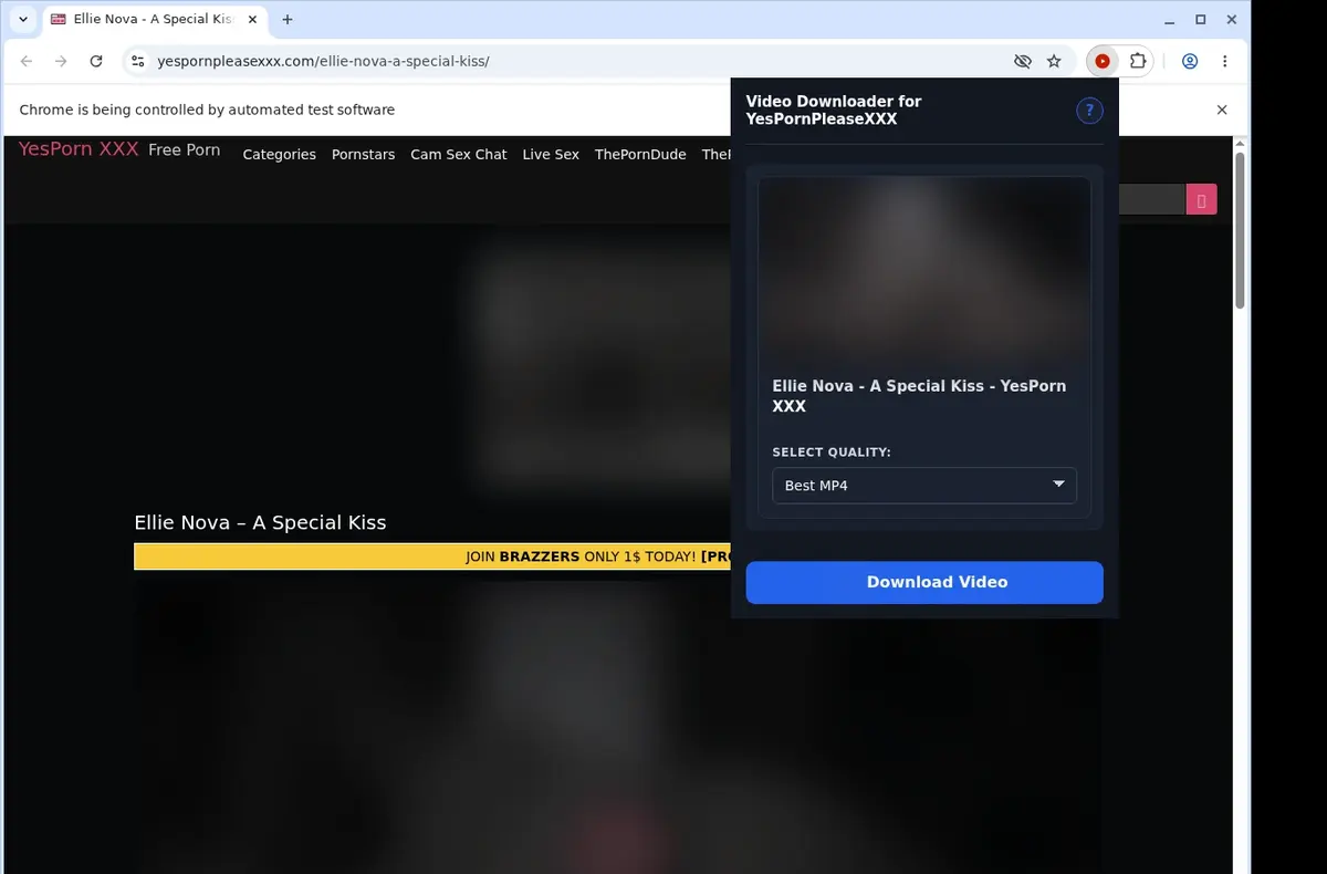 YesPornPleaseXXX Downloader showing detected media ready to download