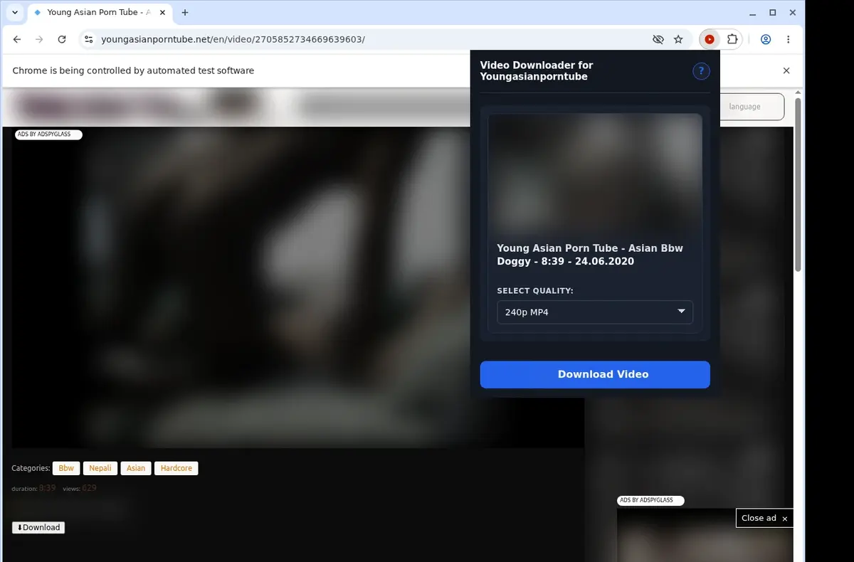 YoungAsianPornTube Video Downloader showing detected media ready to download
