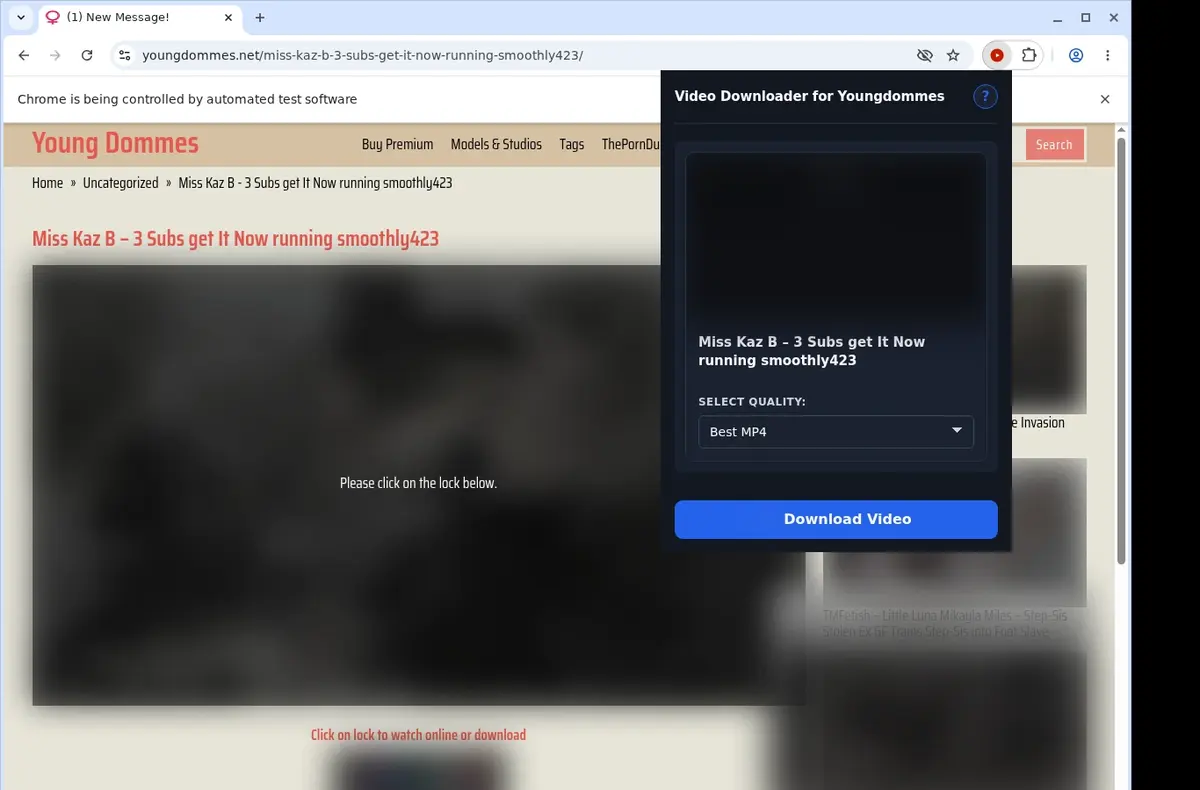 YoungDommes Downloader showing detected media ready to download