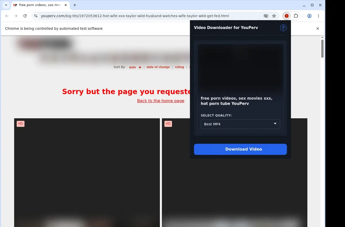 YouPerv Downloader showing detected media ready to download