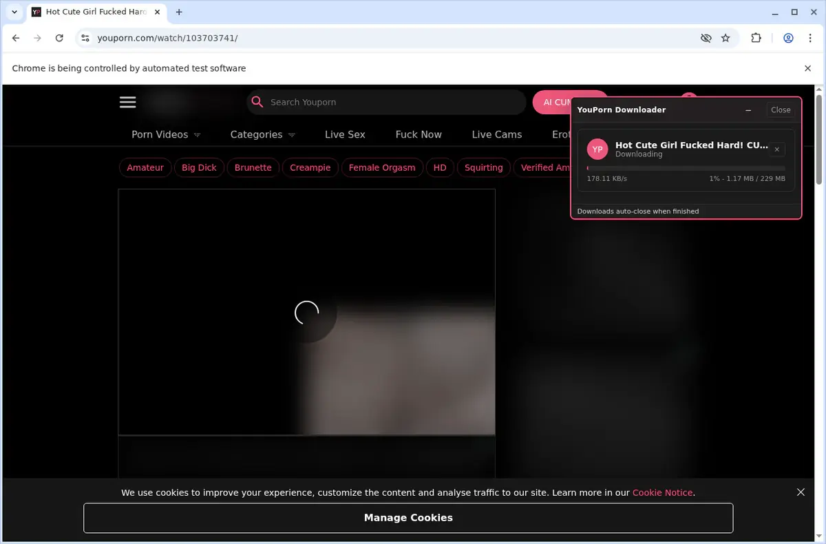 YouPorn Video Downloader download progress panel