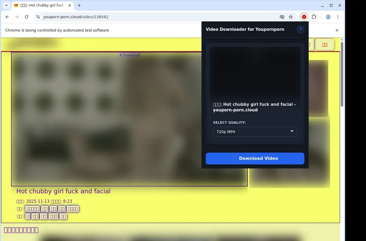 Youpornporn Video Downloader showing detected media ready to download