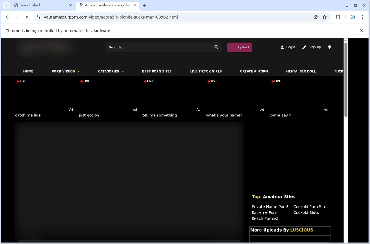 YourAmateurPorn Video Downloader page open in the browser