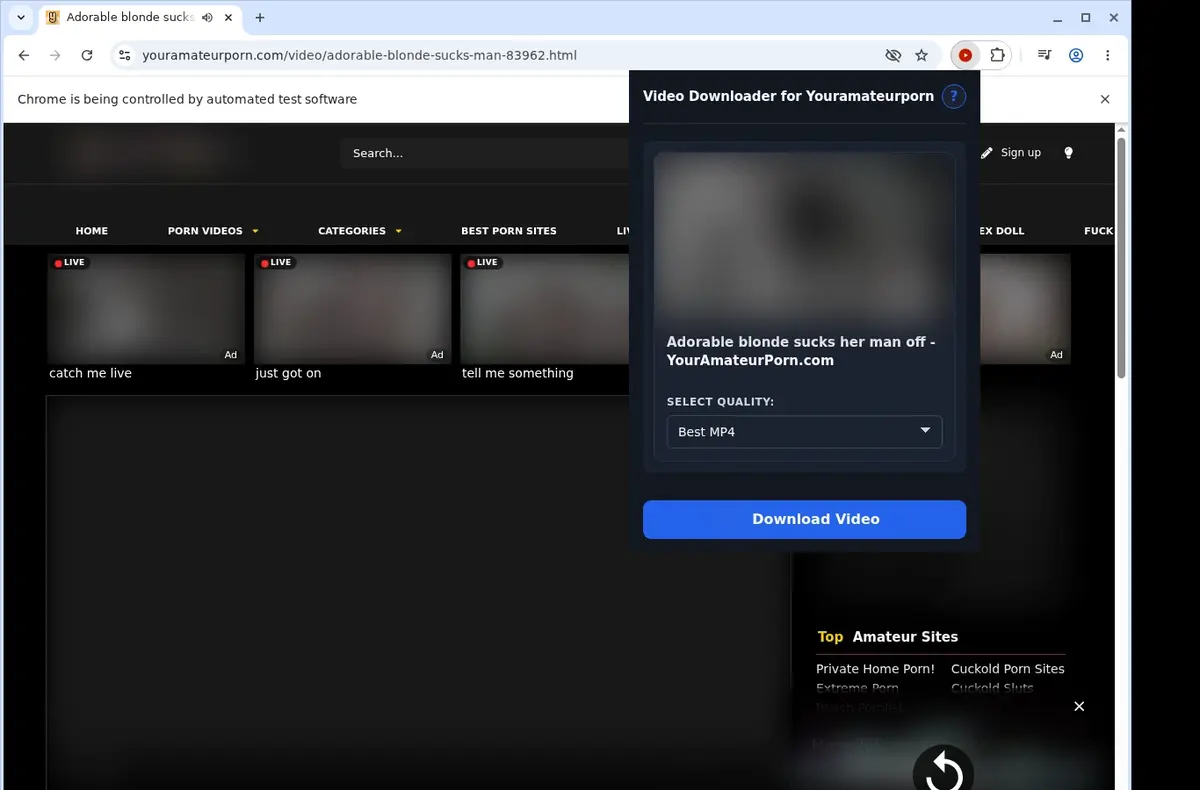 YourAmateurPorn Video Downloader showing detected media ready to download
