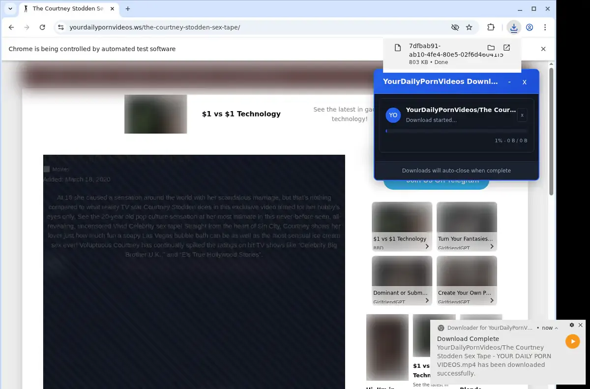 YourDailyPornVideos Downloader page open in the browser