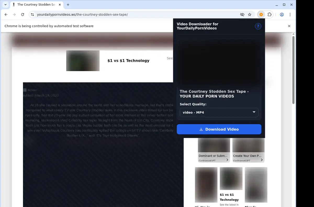 YourDailyPornVideos Downloader showing detected media ready to download