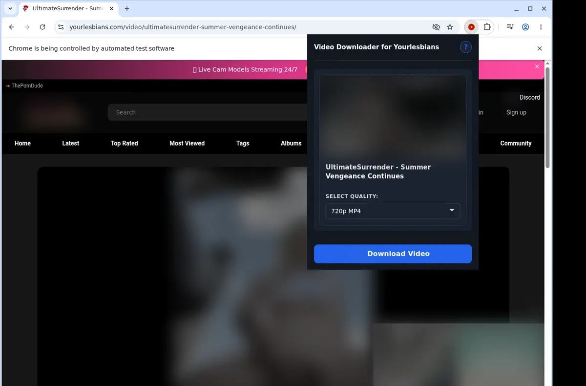 YourLesbians Video Downloader showing detected media ready to download