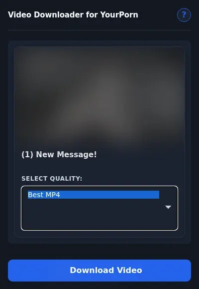 YourPorn Downloader format dropdown options