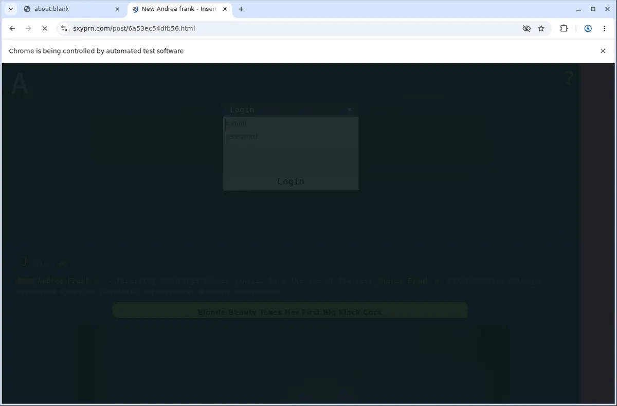 YourPorn Downloader page open in the browser