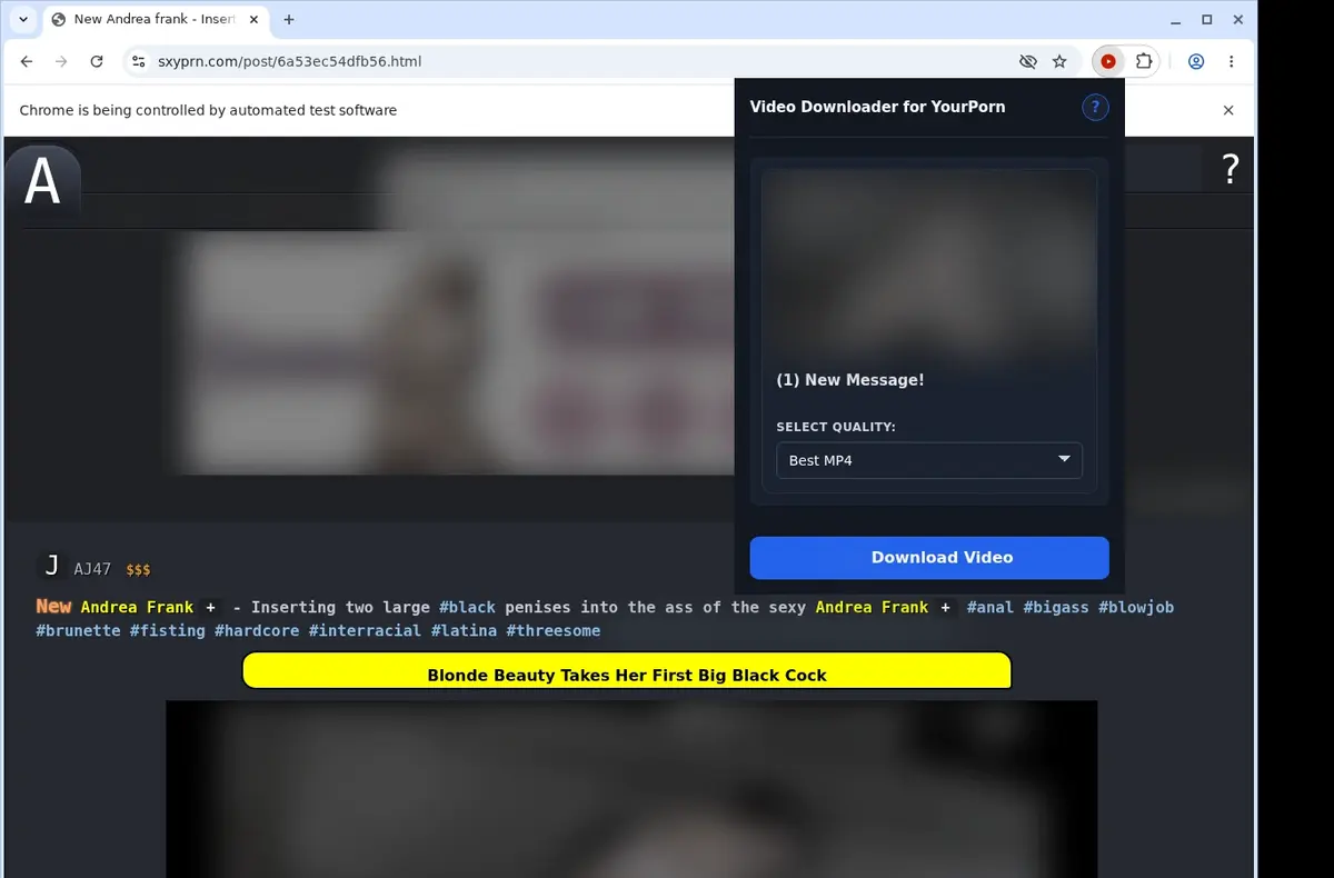 YourPorn Downloader showing detected media ready to download