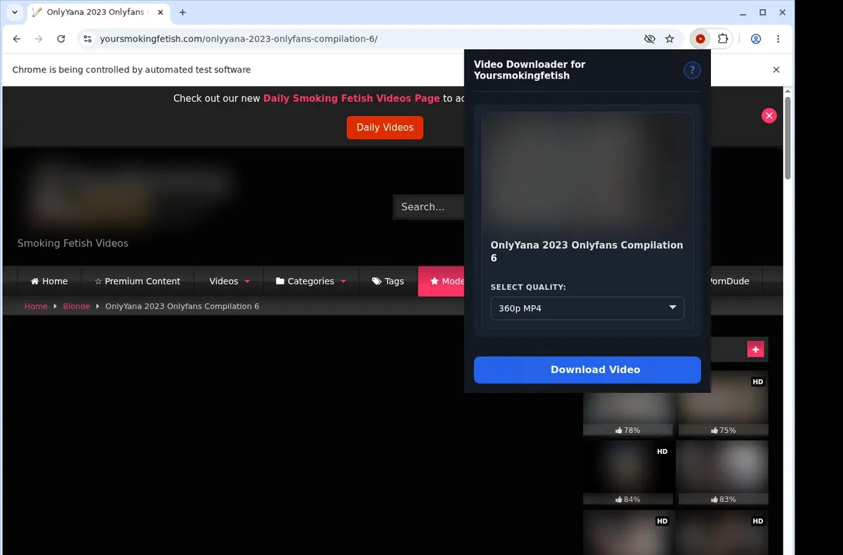 YourSmokingFetish Video Downloader showing detected media ready to download