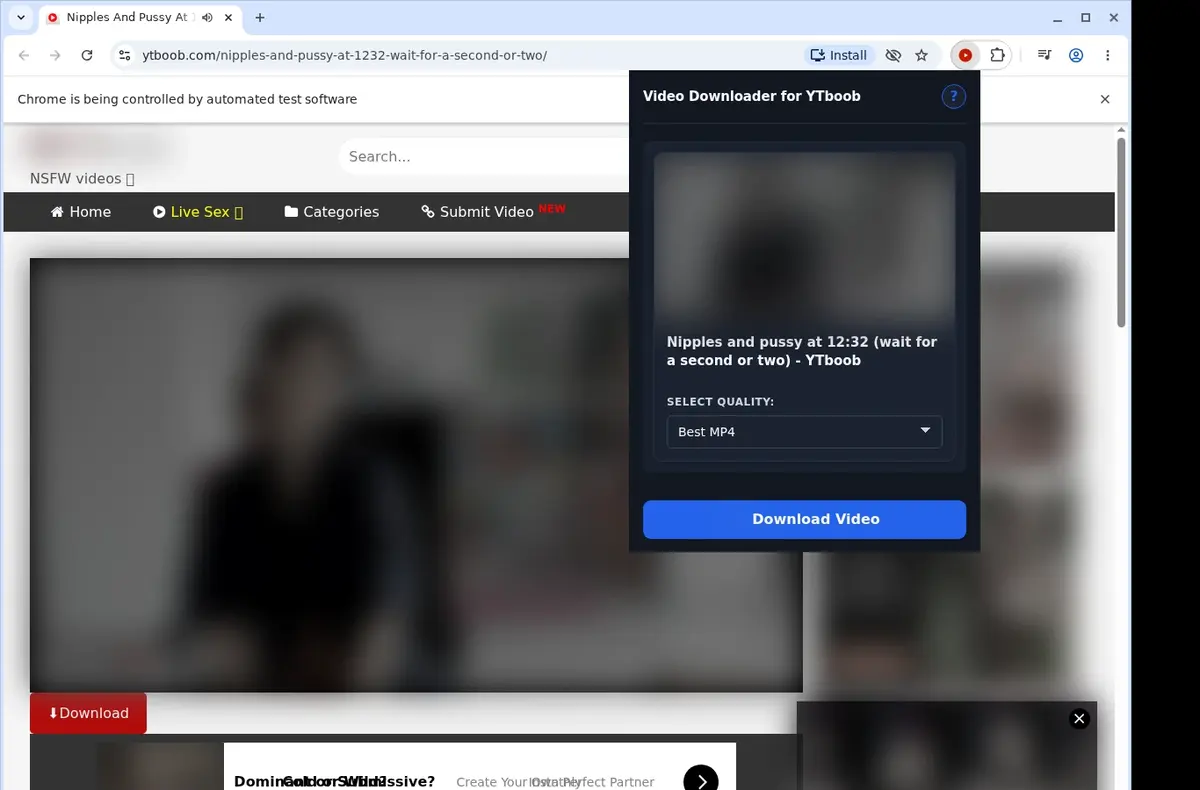 YTboob Video Downloader showing detected media ready to download