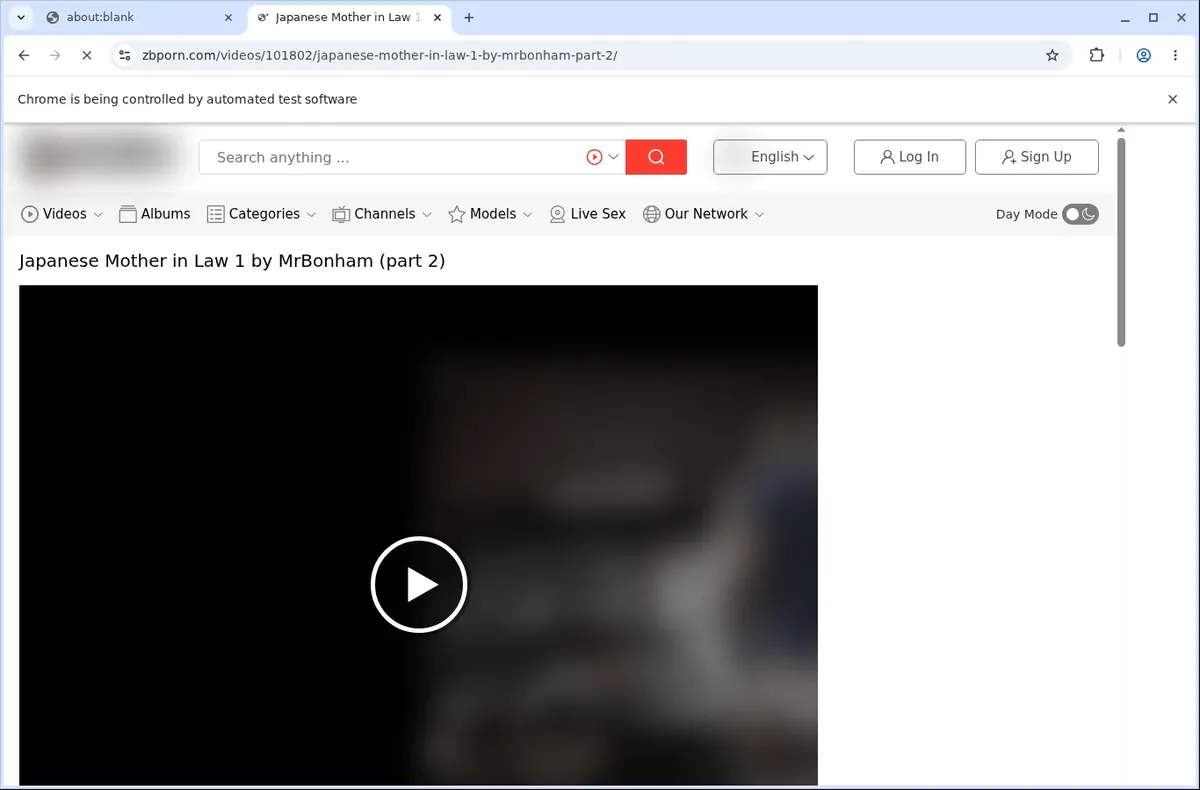ZBPorn Downloader page open in the browser