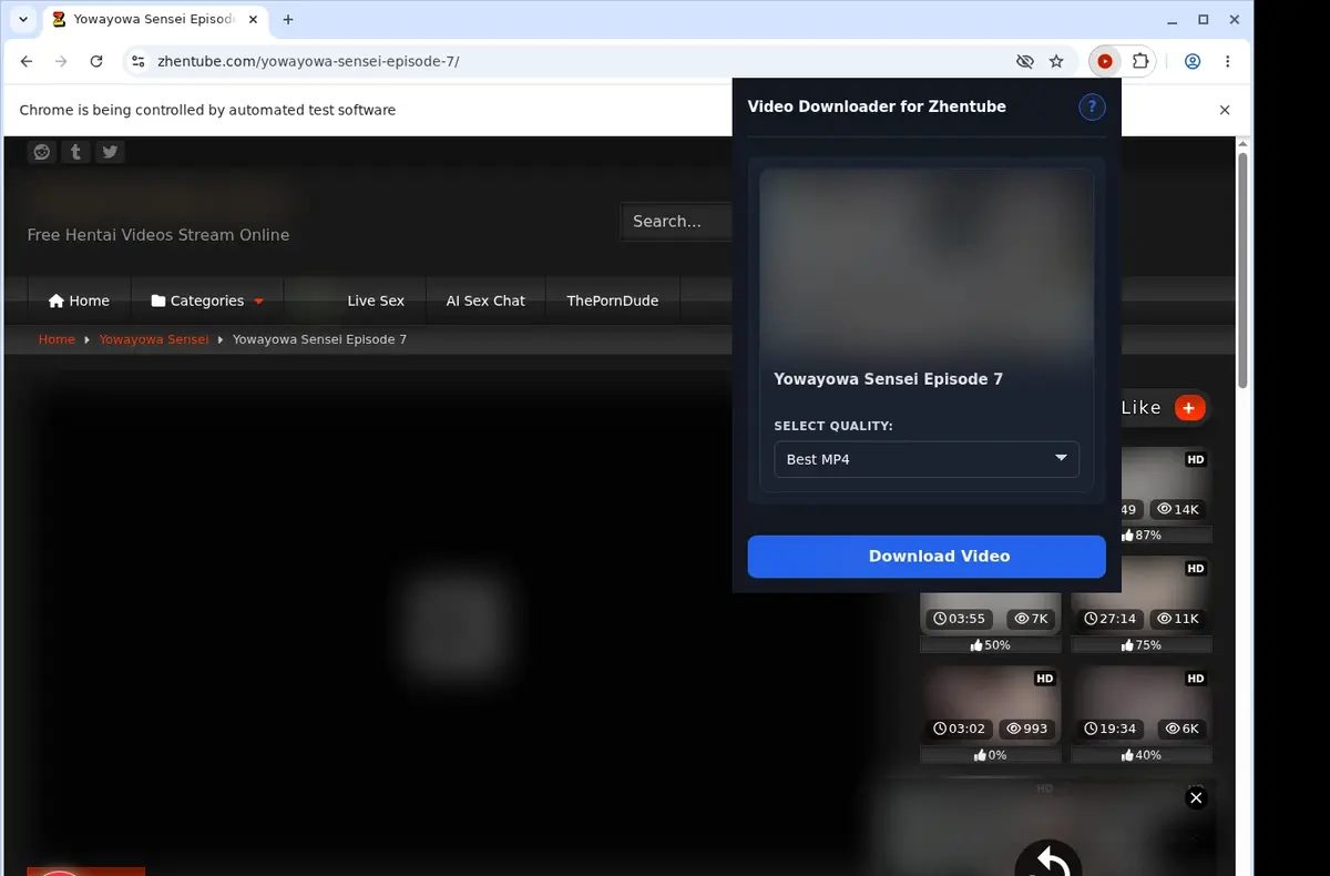 ZhenTube Video Downloader showing detected media ready to download