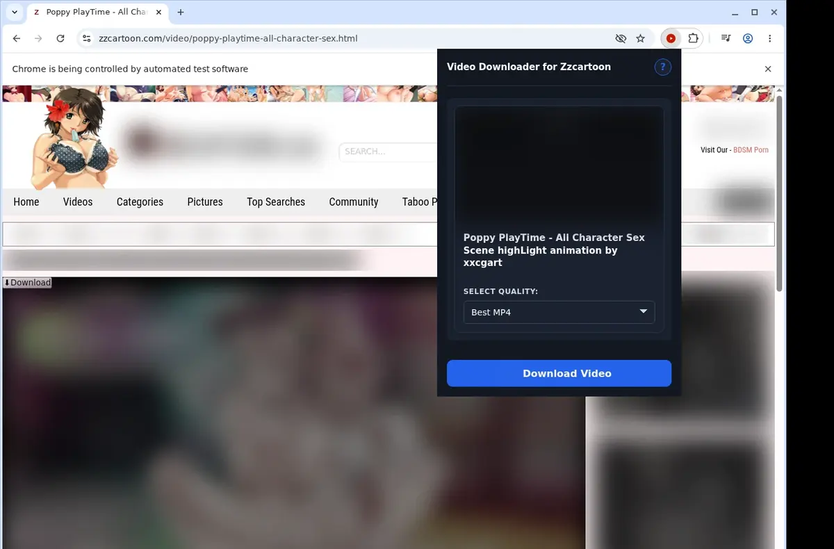 ZZCartoon Video Downloader showing detected media ready to download