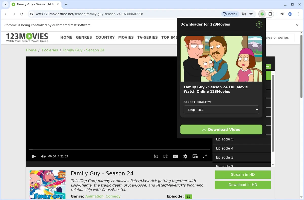 123Movies Video Downloader fullscreen screenshot