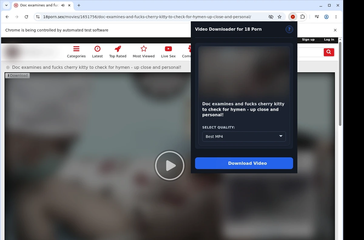 18 Porn Video Downloader ready state screenshot