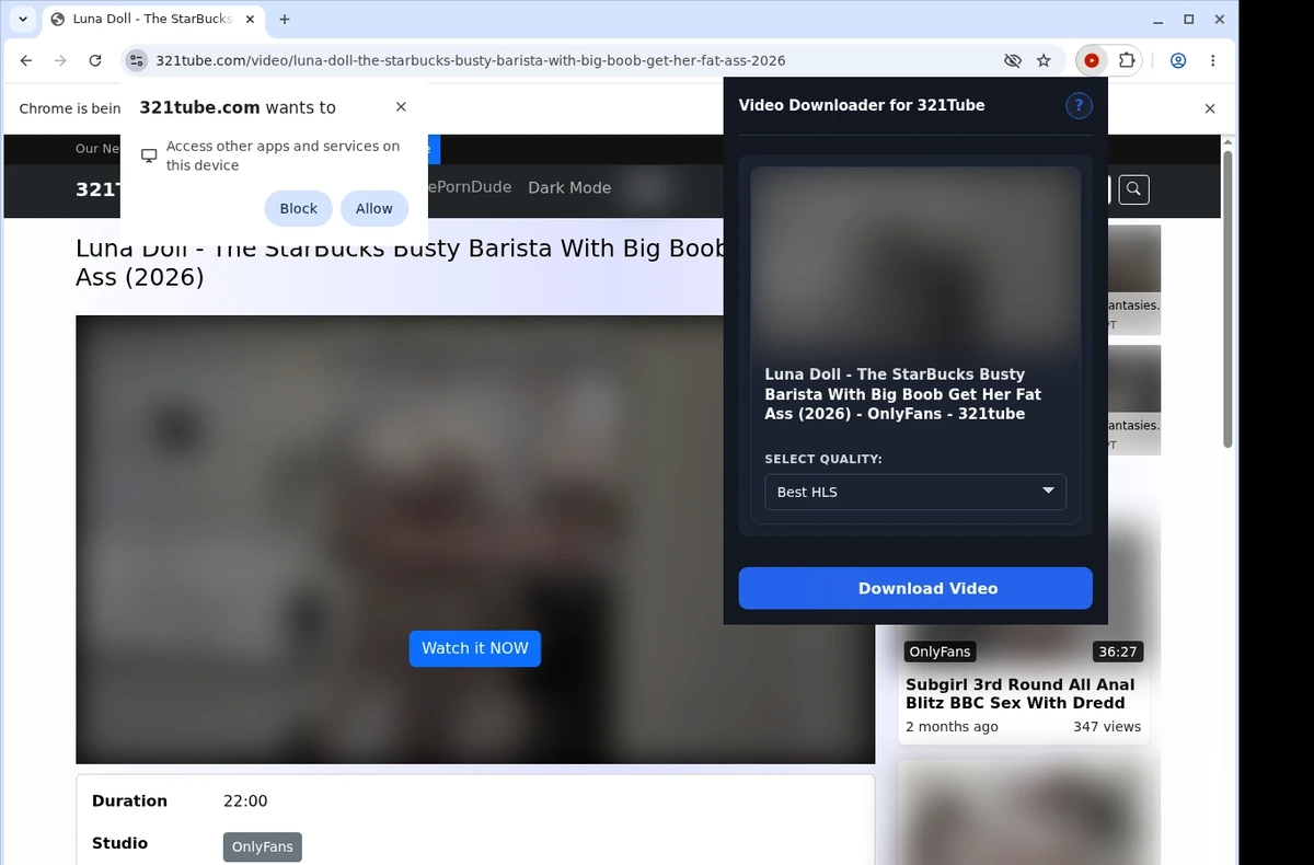321Tube Downloader ready state screenshot