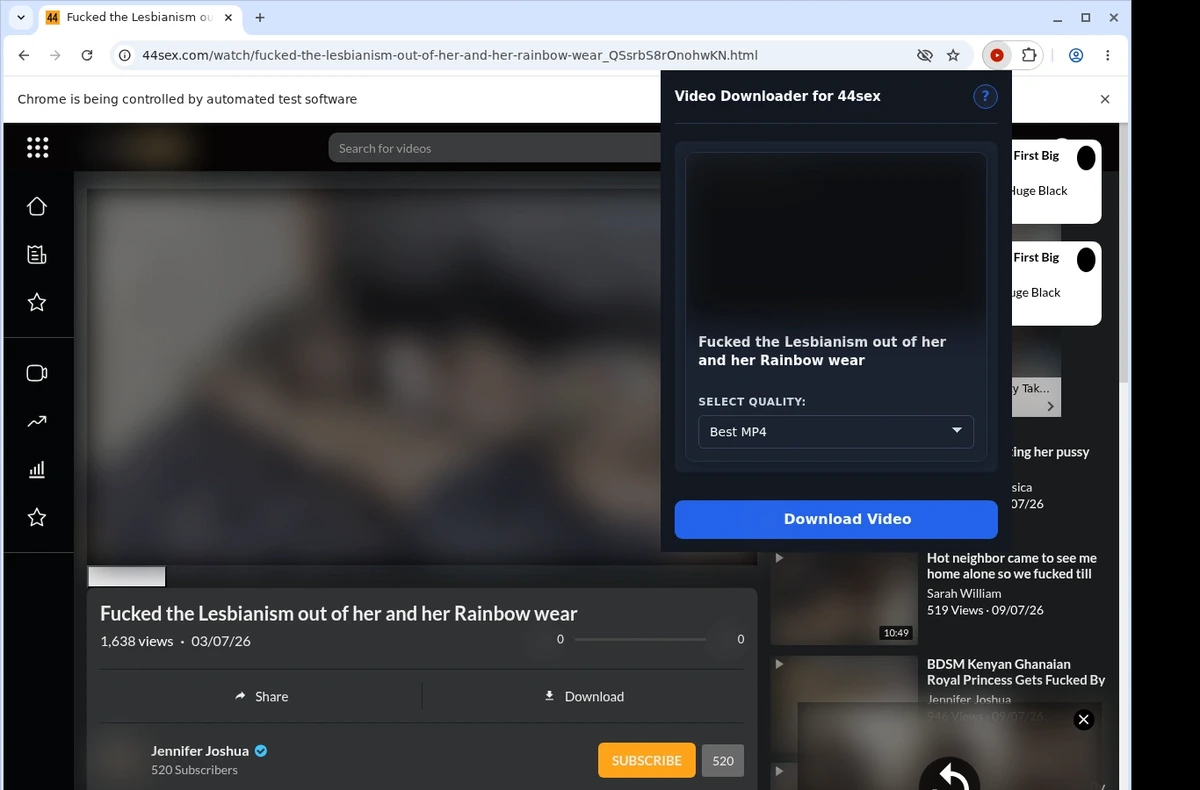 44sex Video Downloader ready state screenshot