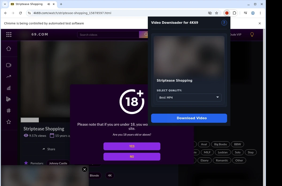 4K69 Downloader ready state screenshot