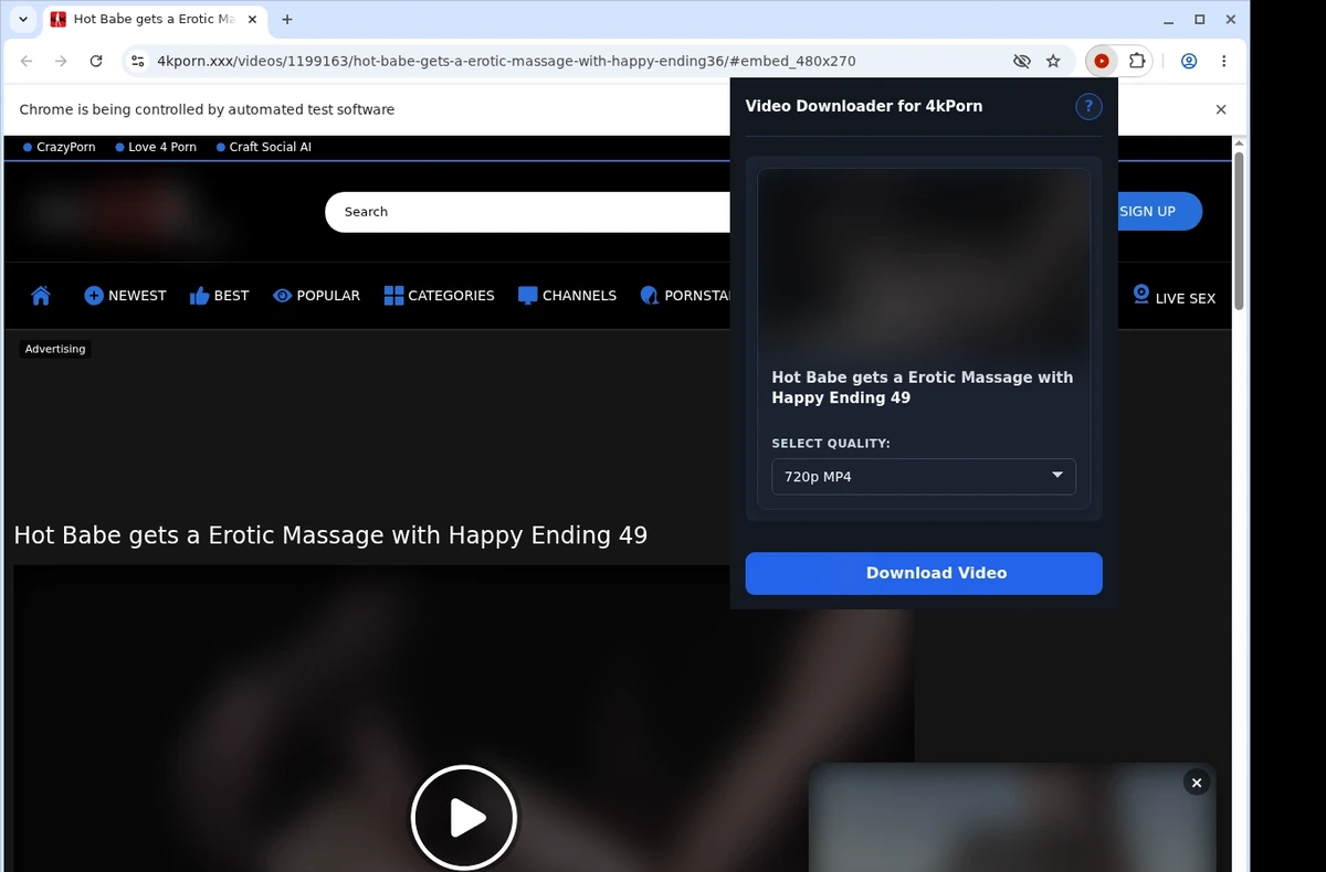 4kPorn Downloader ready state screenshot