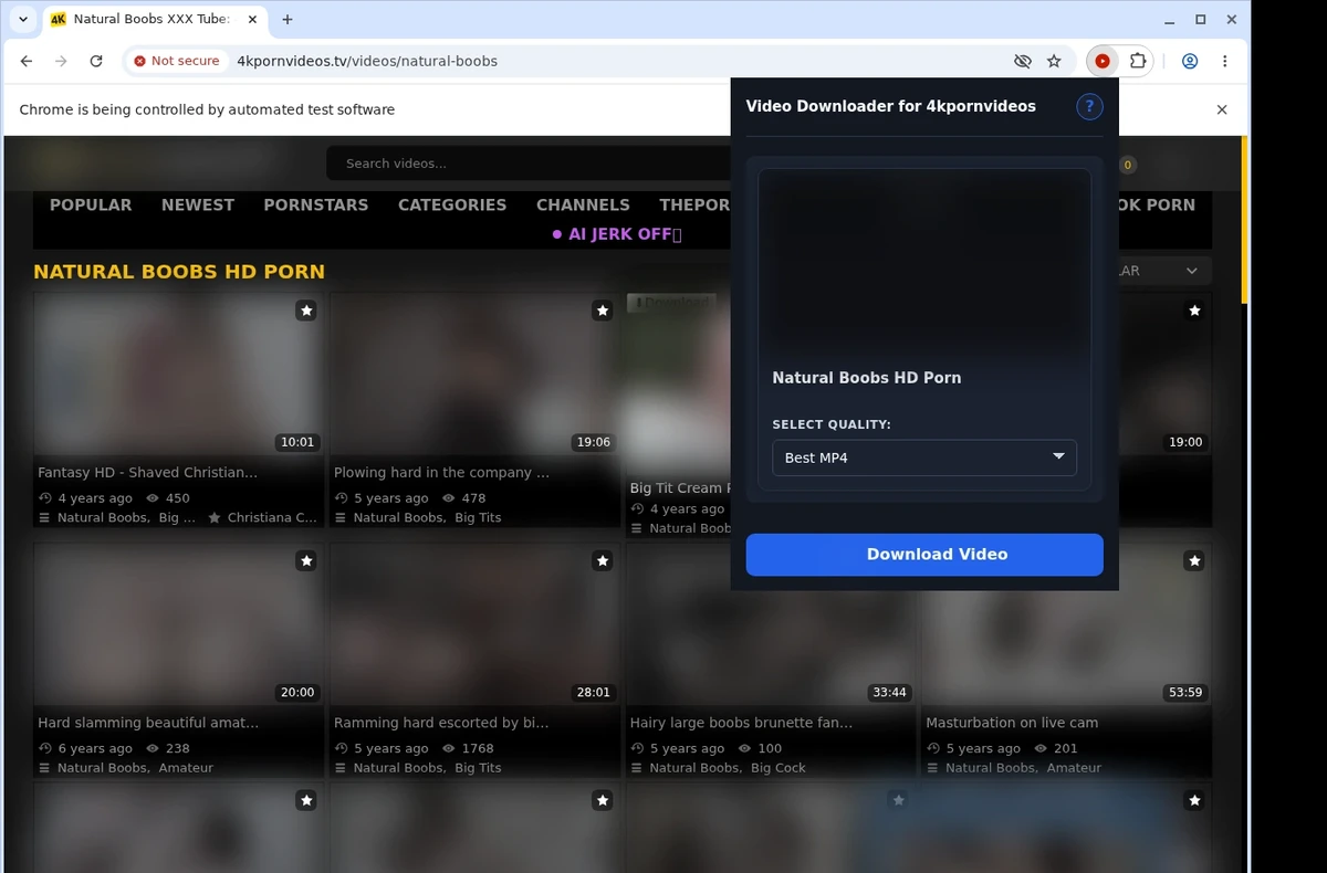 4K Porn Videos Video Downloader ready state screenshot