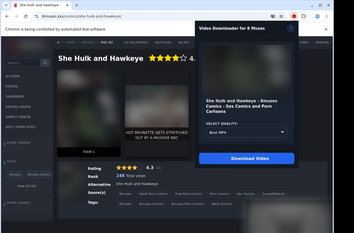 8 Muses Video Downloader ready state screenshot
