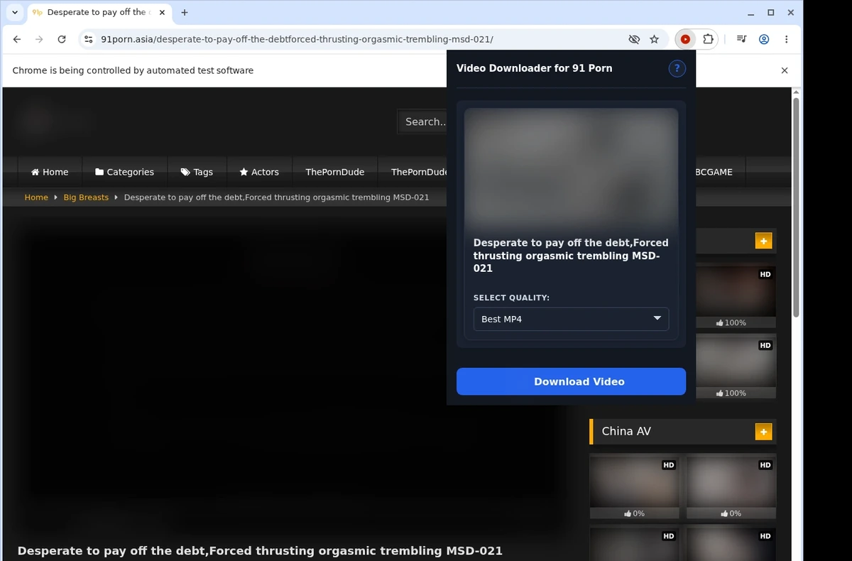 91Porn Video Downloader ready state screenshot