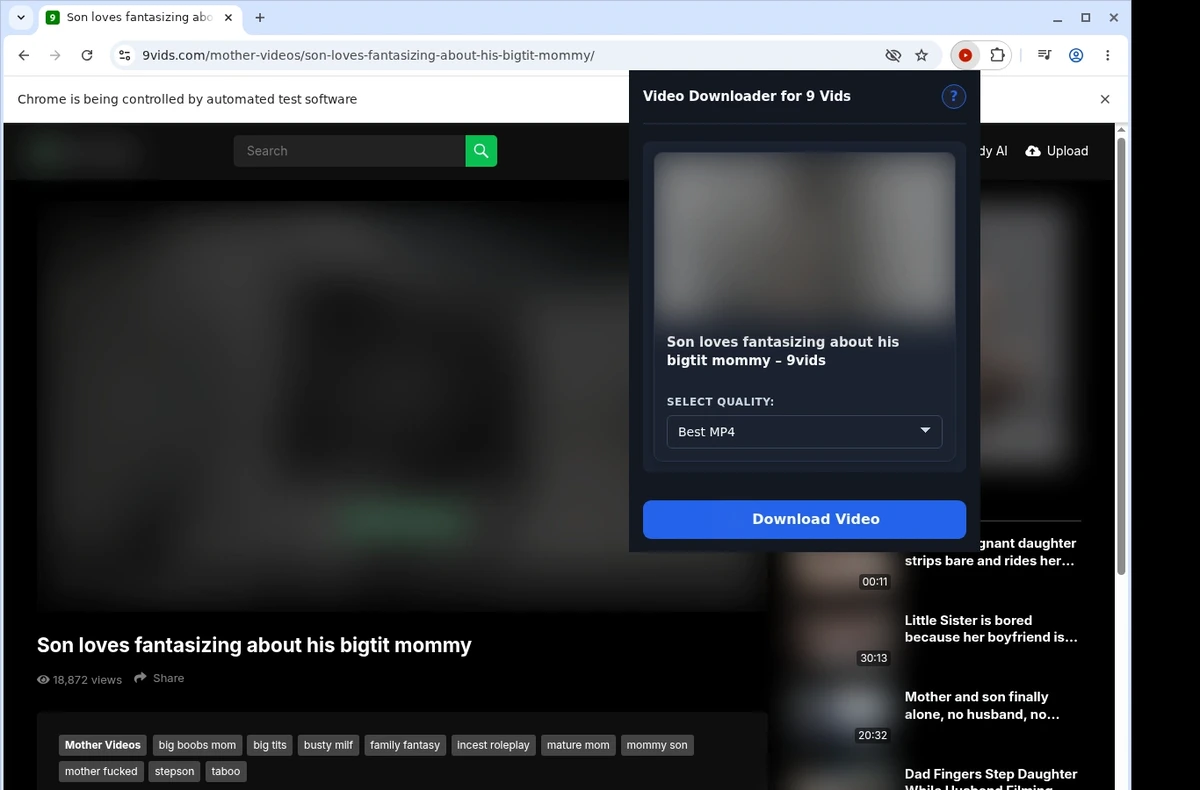 9 Vids Video Downloader ready state screenshot