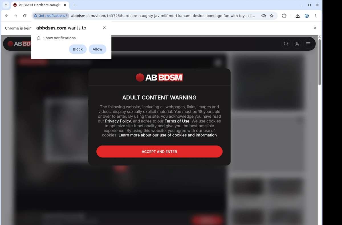 Abbdsm Video Downloader ready state screenshot