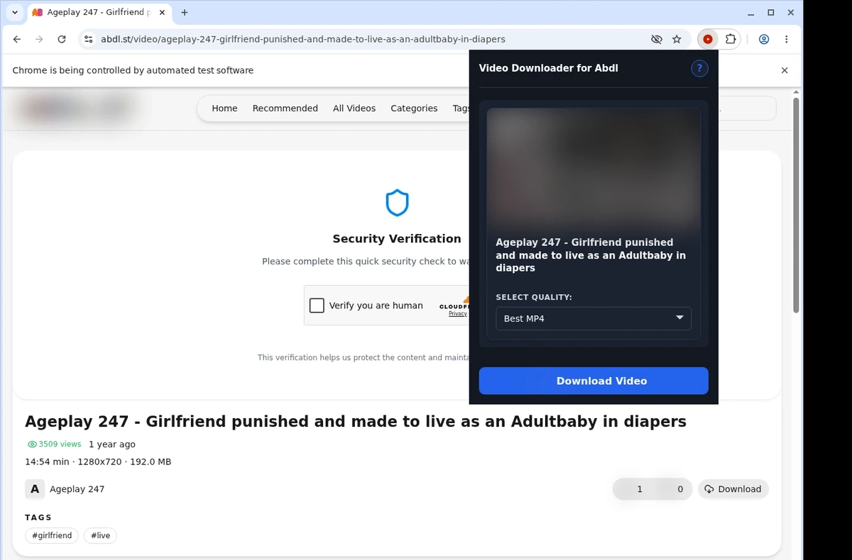 Abdl Downloader ready state screenshot