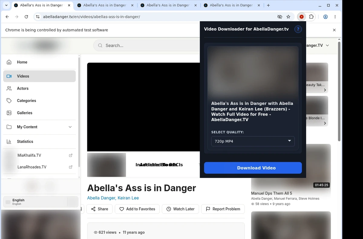 AbellaDanger.tv Downloader ready state screenshot