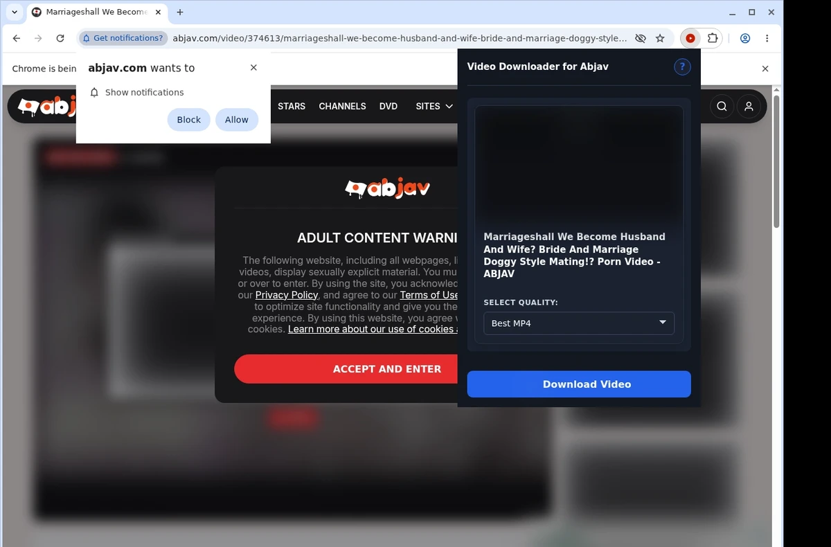 Abjav Video Downloader ready state screenshot