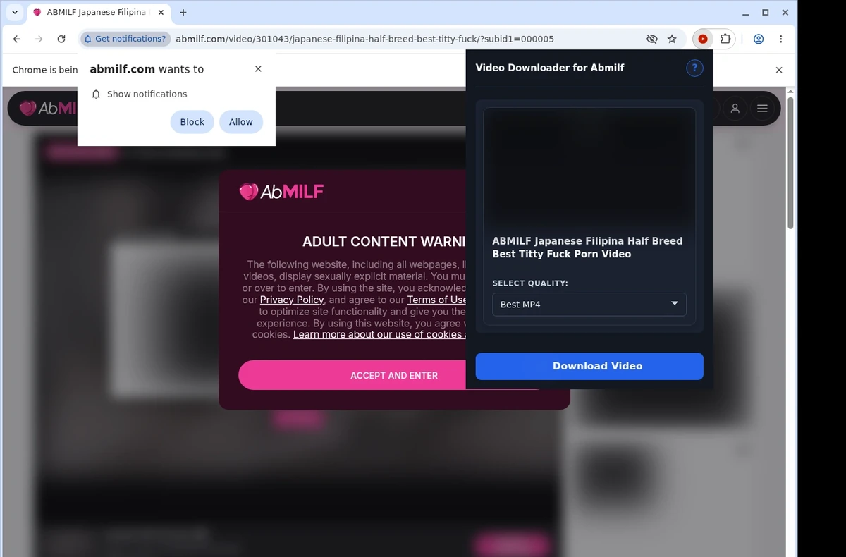Abmilf Video Downloader ready state screenshot