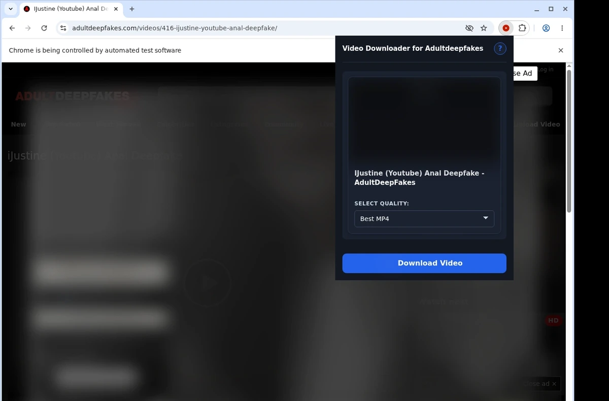 Adultdeepfakes Video Downloader ready state screenshot