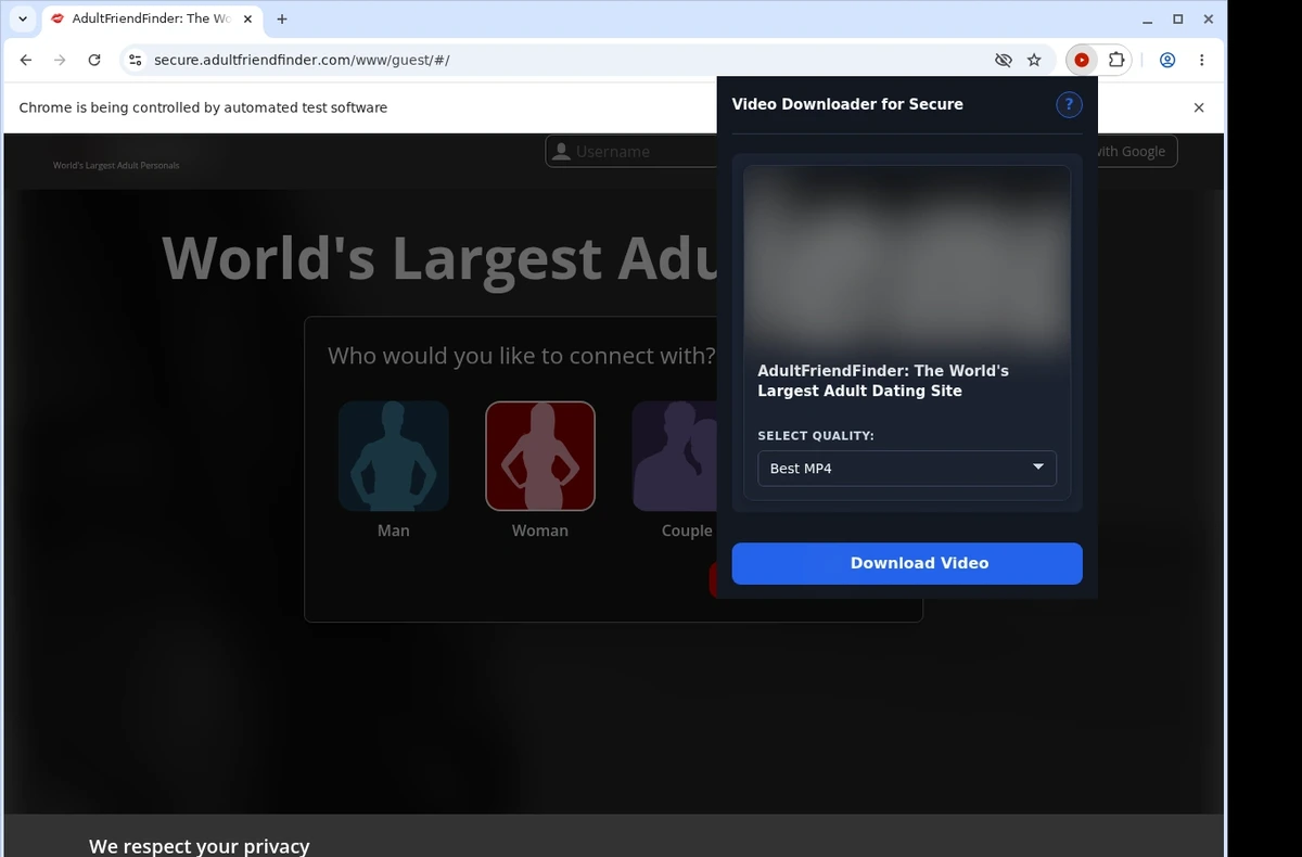 Adult FriendFinder Video Downloader ready state screenshot