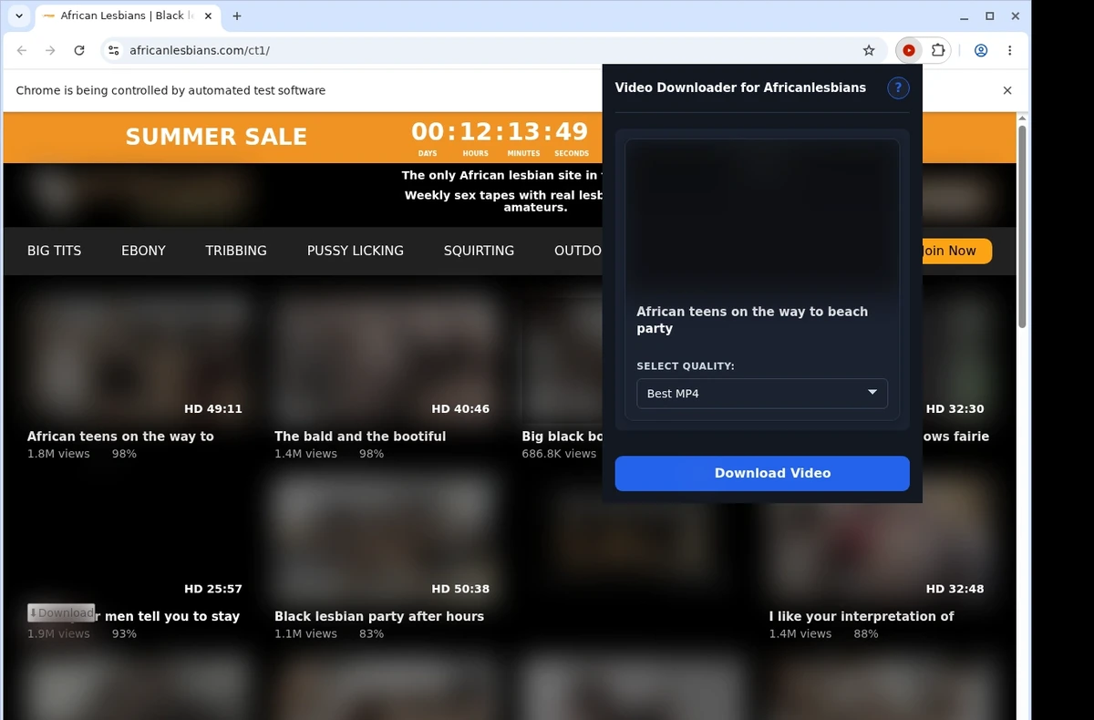 Africanlesbians Video Downloader ready state screenshot
