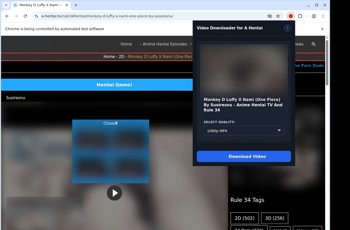 Ahentai Video Downloader ready state screenshot