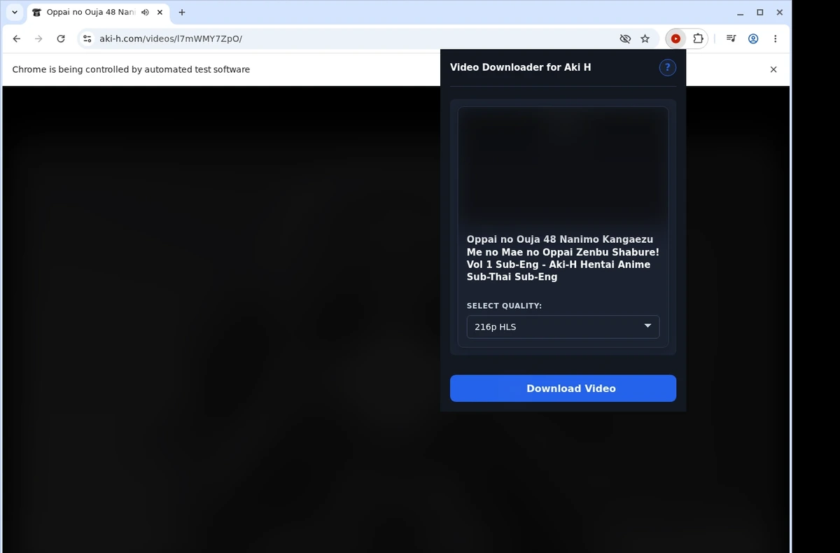 Aki-H Downloader ready state screenshot