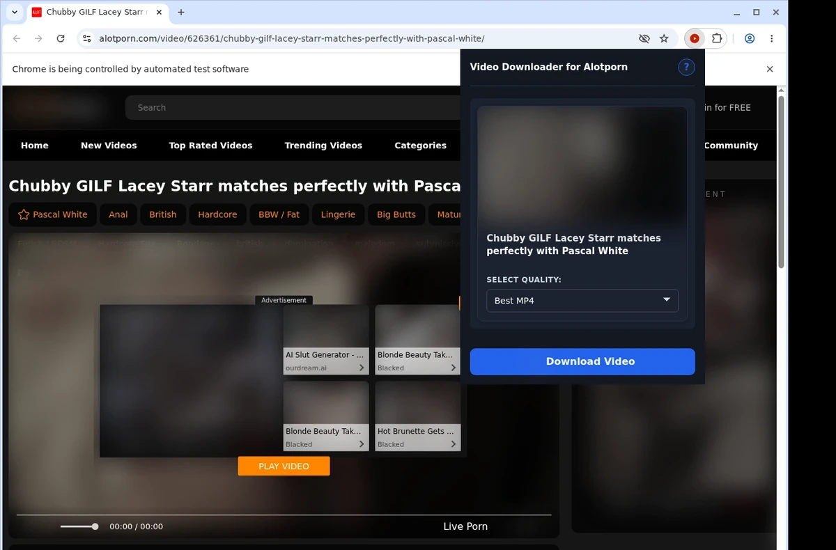 Alotporn Video Downloader ready state screenshot