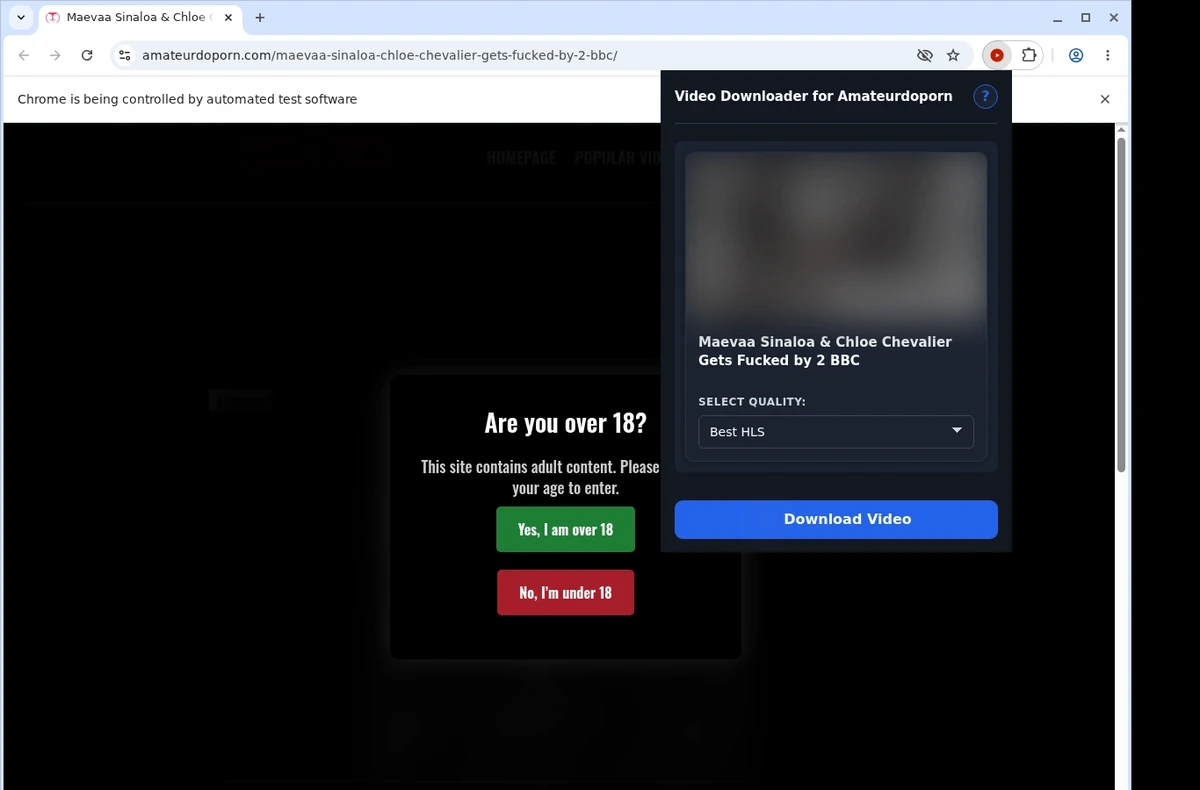 Amateurdoporn Video Downloader ready state screenshot