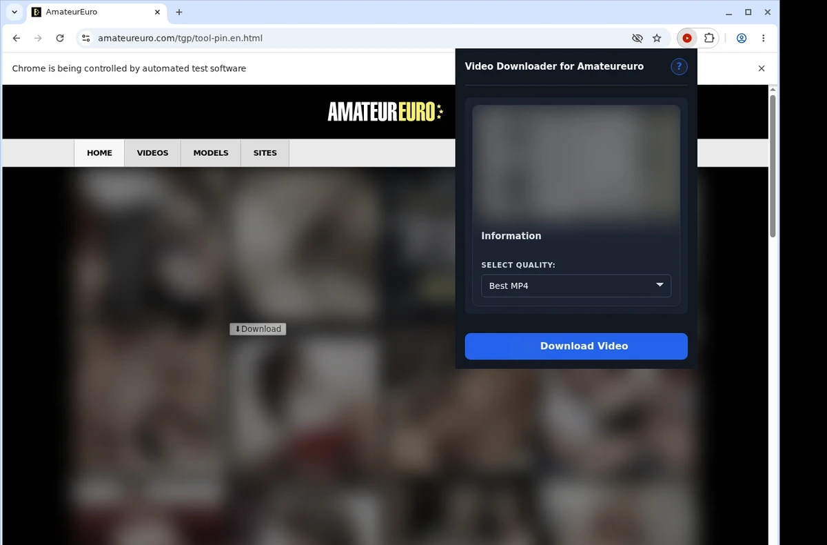 Amateureuro Downloader ready state screenshot