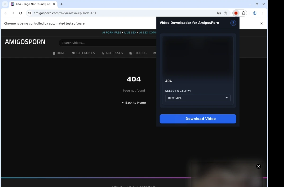 AmigosPorn Downloader ready state screenshot