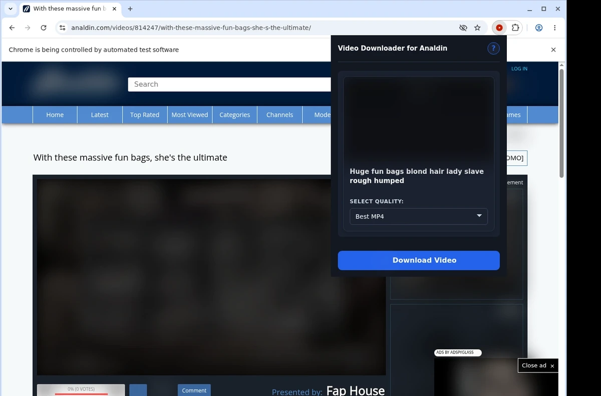Analdin Downloader ready state screenshot